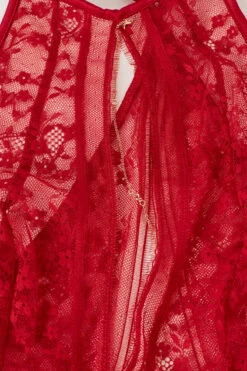 Luxury Treats Lace Body -Lingerie Sale Store BOD24759888 D1