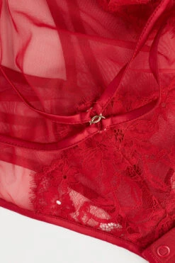 Undress To Impress Lace And Tulle Bodysuit -Lingerie Sale Store BOD24789888 D1