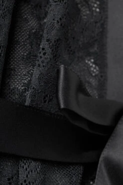 Stunning Beauty Lace Negligee -Lingerie Sale Store PVD2489019 D1