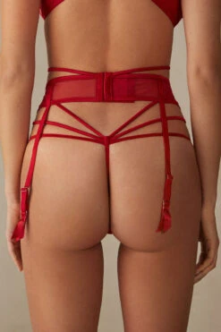 Undress To Impress Suspenders -Lingerie Sale Store RGC24789888 BI