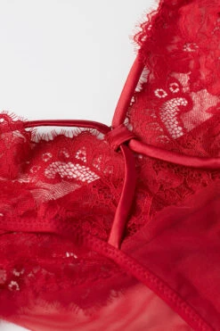 Undress To Impress Brazilian Briefs -Lingerie Sale Store SBD24789888 D1