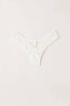 Fearless Femininity Brazilian Briefs -Lingerie Sale Store SBD24852127 F