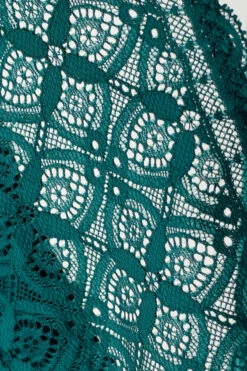 Lace And Microfibre Brazilian Briefs -Lingerie Sale Store SBD96M4572 D1