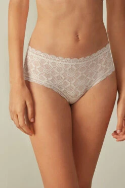 Microfibre And Lace Briefs