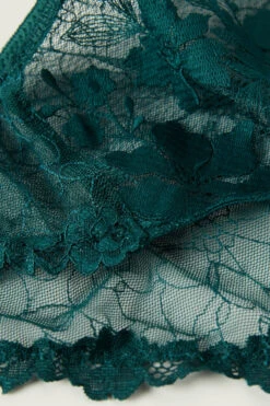 In Full Bloom Briefs -Lingerie Sale Store SID13194572 D1