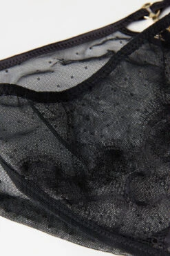 Pure Charme Panties -Lingerie Sale Store SID2488019 D1