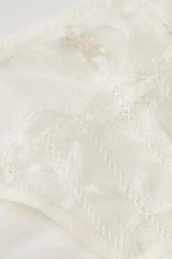 Pure Charme Panties -Lingerie Sale Store SID24882127 D1