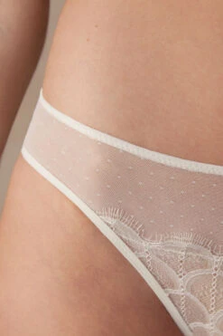 Pure Charme Panties -Lingerie Sale Store SID24882127 DT1W