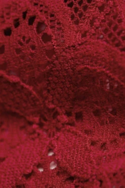 Low-Rise Lace Briefs 15 Low-Rise Lace Briefs -Lingerie Sale Store SID96P1473 D1